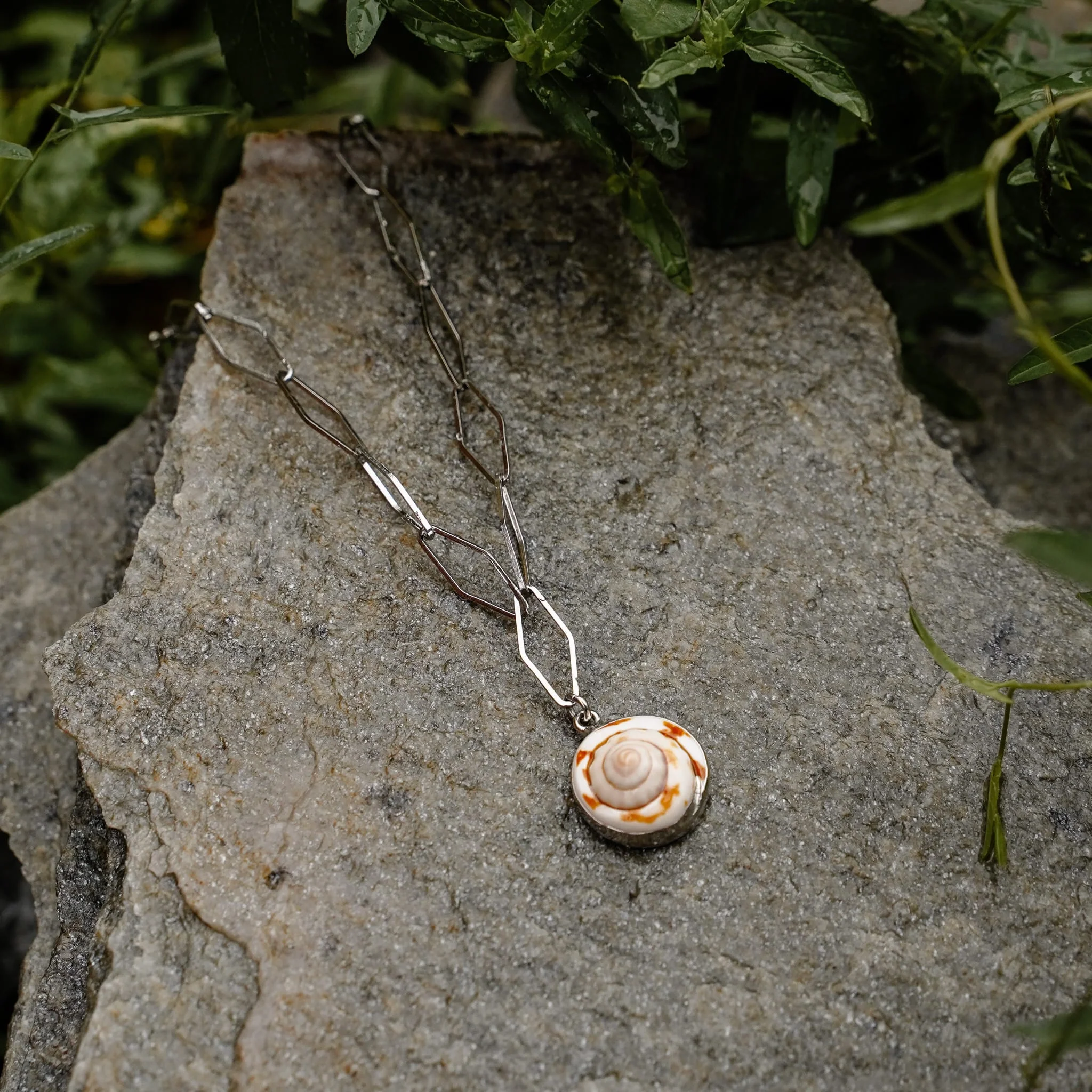 Fossil Necklace - Image 5
