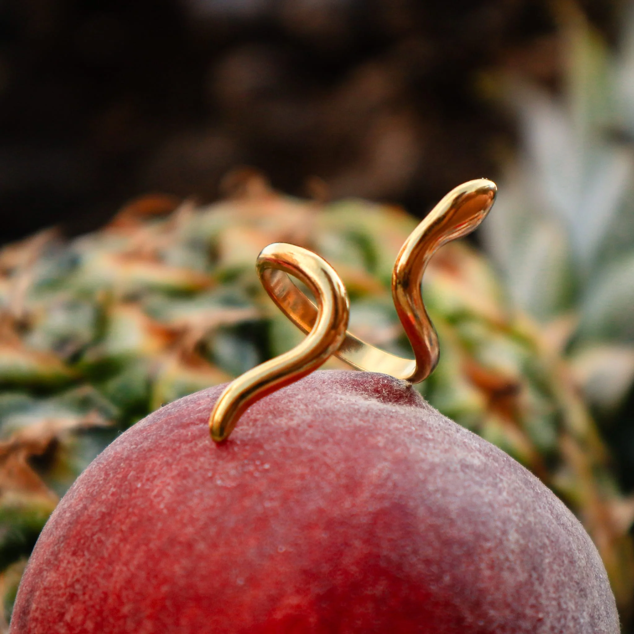 Poison Ring - Image 4