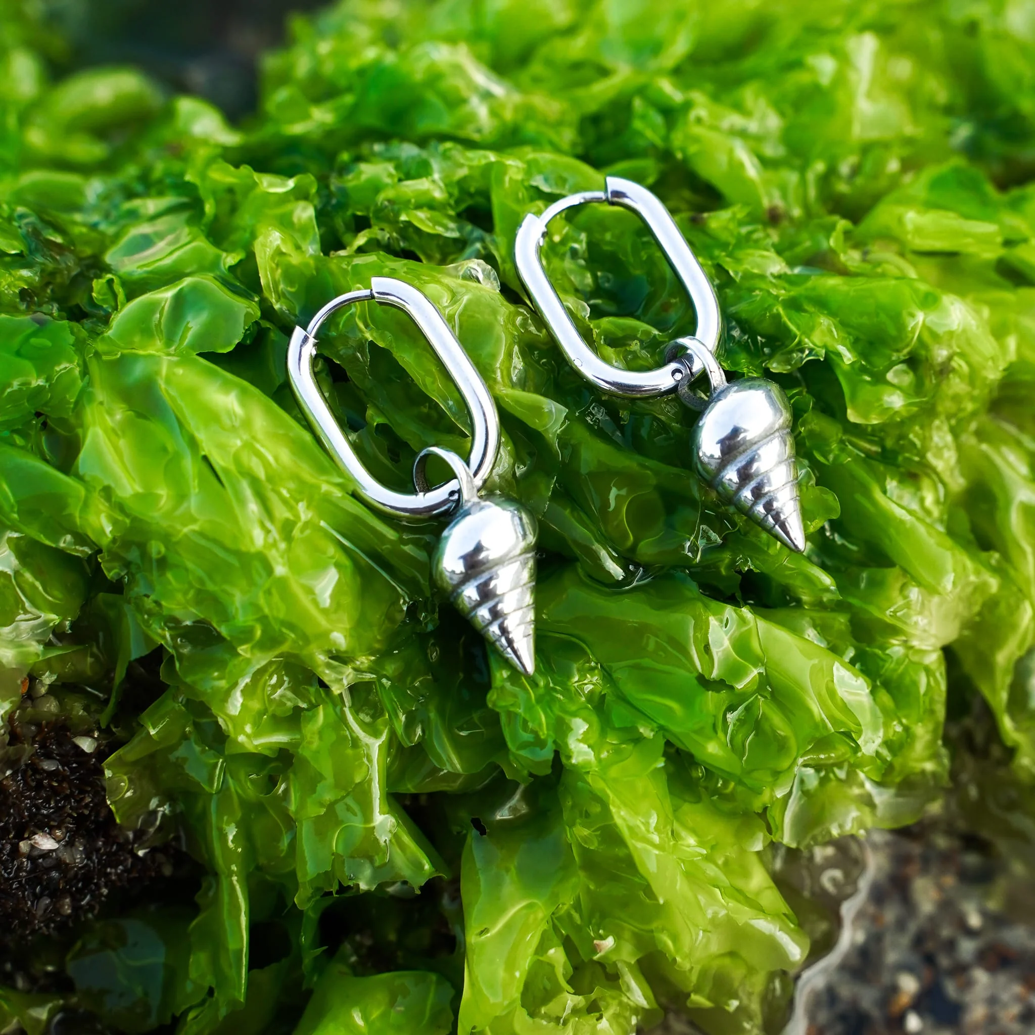 Shell We Dance Earrings - Image 3
